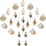 SUNNYCLUE 16 pieces seashell charms packaging presentation
