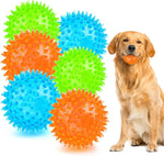 Small dog catching a Puptily squeaky ball