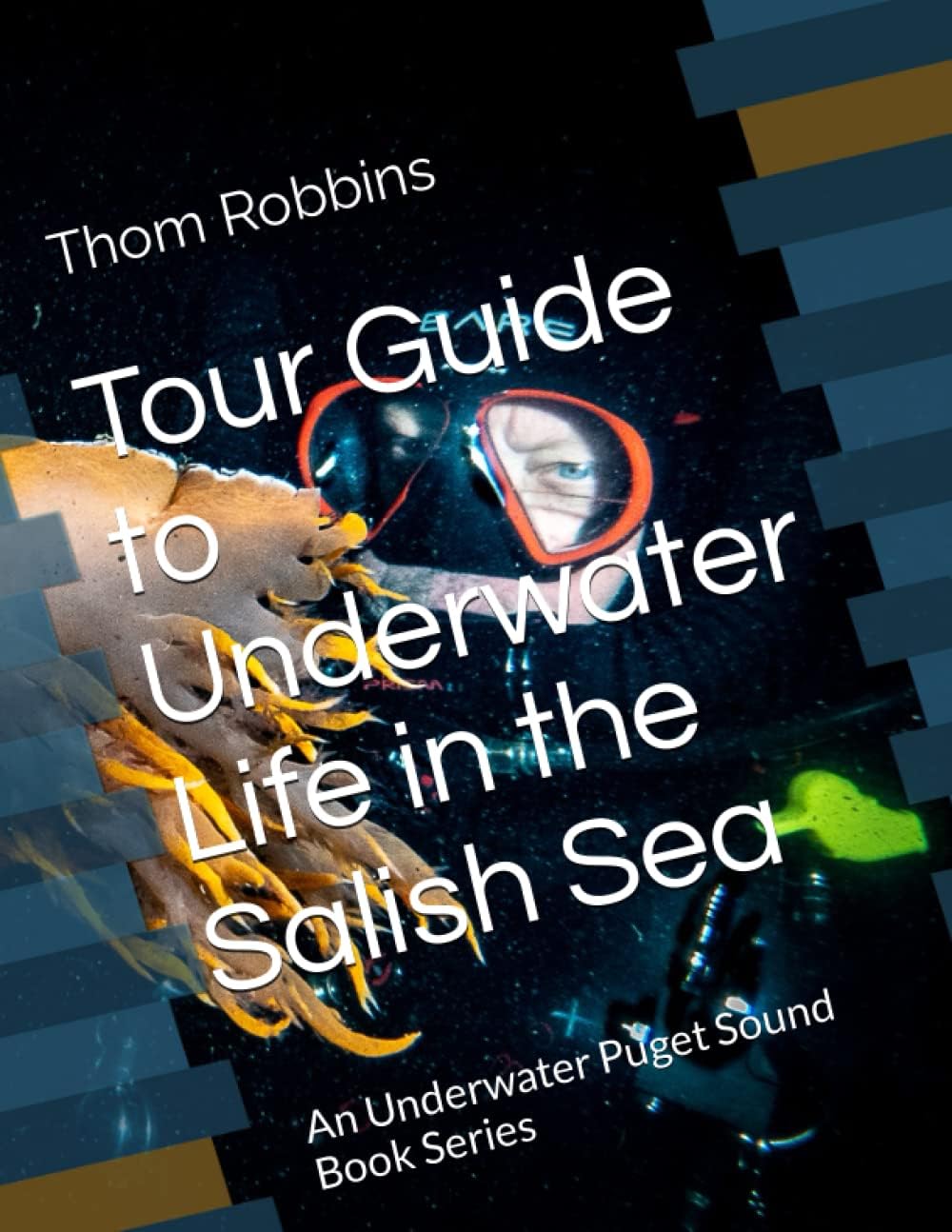 Tour Guide to Underwater Life in the Salish Sea: An Underwater Puget Sound Book Series - Image 1