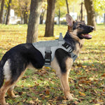 Complete rabbitgoo heavy-duty dog harness laid flat showing all adjustment points