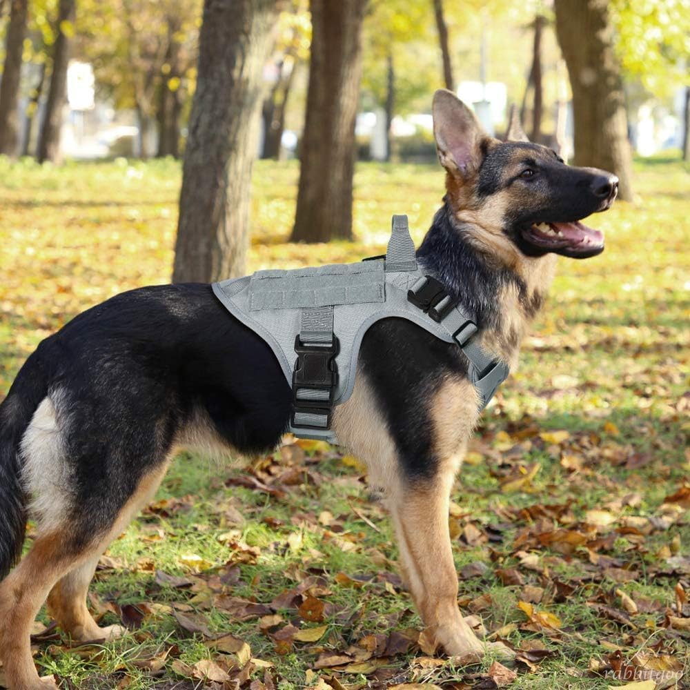 Complete rabbitgoo heavy-duty dog harness laid flat showing all adjustment points