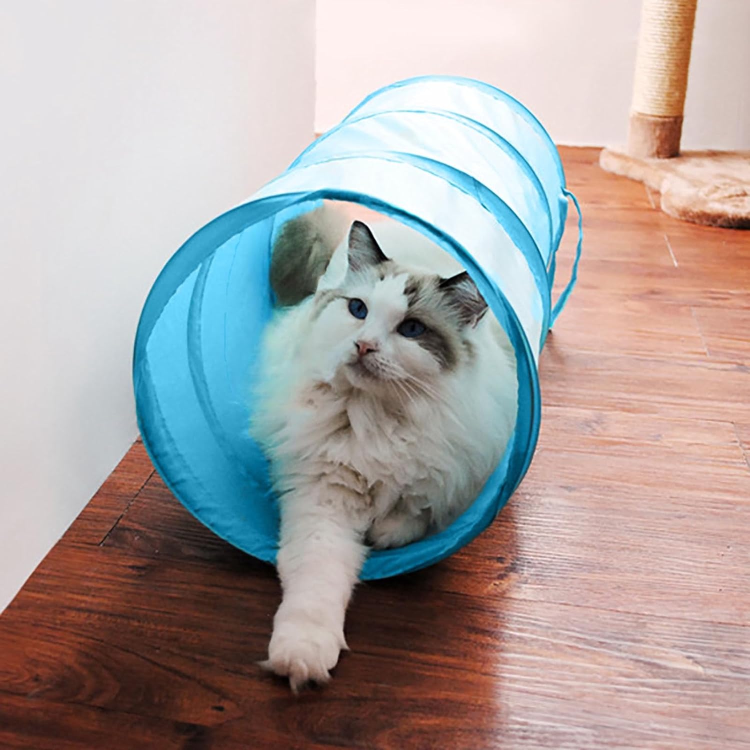 iCAGY interactive cat tunnel front view sky blue pet toy