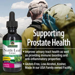 Nature's Answer Nettle Leaf supplement bottle back label ingredients