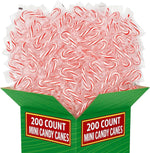 Imported generic mini peppermint candies displayed in a holiday candy bowl