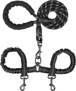 MingXpets double dog leash front view premium dual leash for two dogs walking