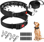 Safe anti pull dog collar demonstrating even pressure distribution around the neck.