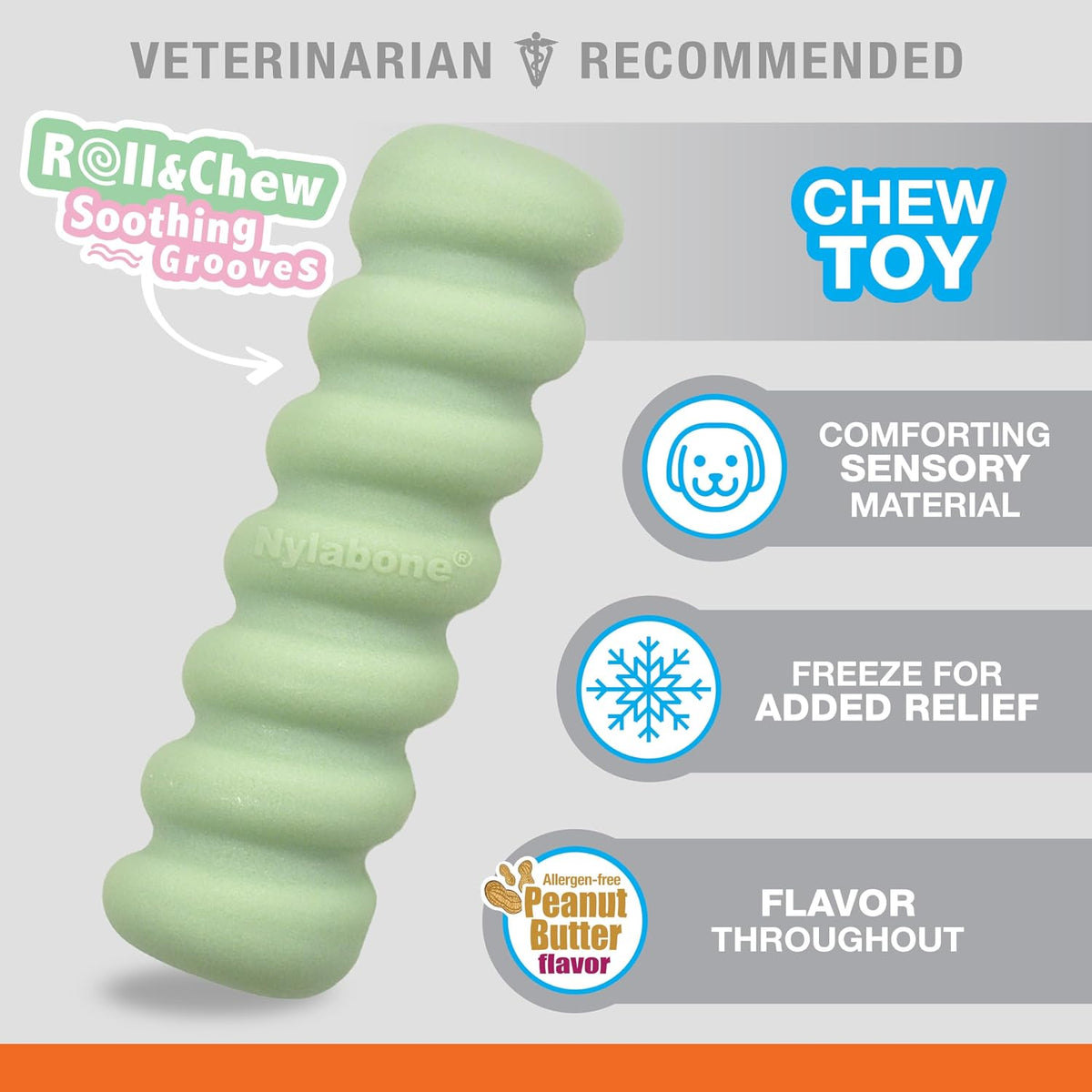 Nylabone puppy stick toy showing tactile sensory grooves
