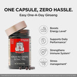 Close up of authentic Korean red ginseng herbal supplement pills for daily immune and stamina support