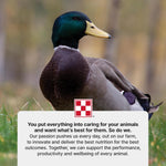 Back of Purina duck feed bag with feeding instructions