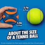Medium breed dog playing and biting Chuckit natural rubber ball