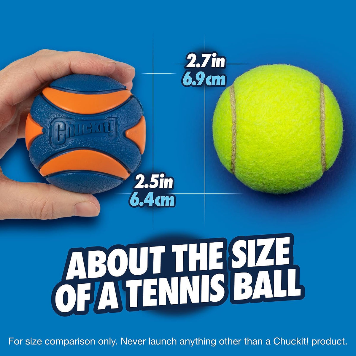Medium breed dog playing and biting Chuckit natural rubber ball