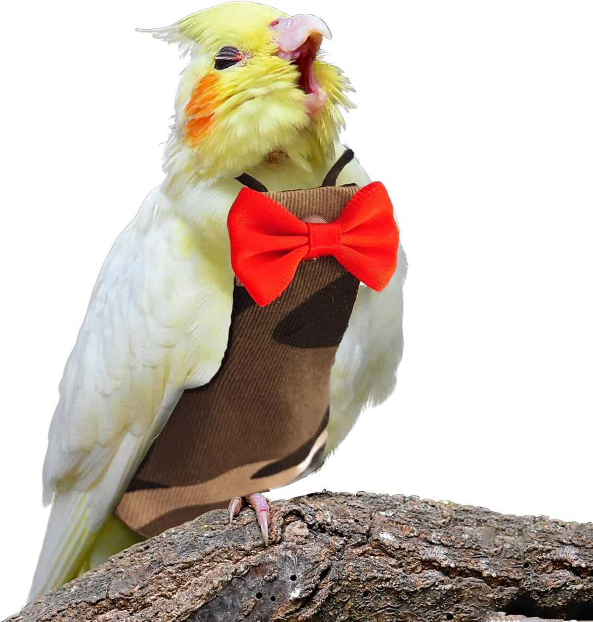 Back view of parrot flight clothes with hook and loop closure system