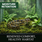 Rehydrated natural terrarium moss bedding spread out inside a tropical snake enclosure tank