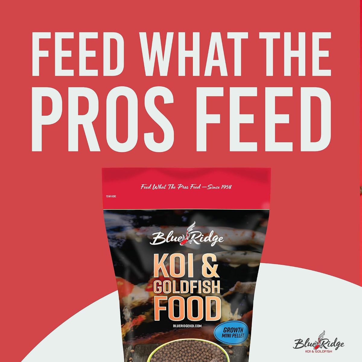 Blue Ridge mini pond pellets fish food close up