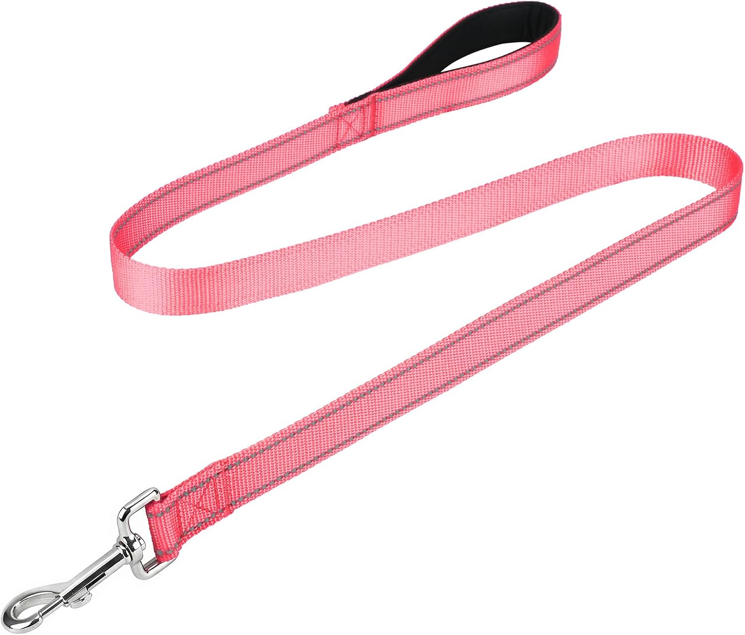 FunTags reflective nylon dog leash front view