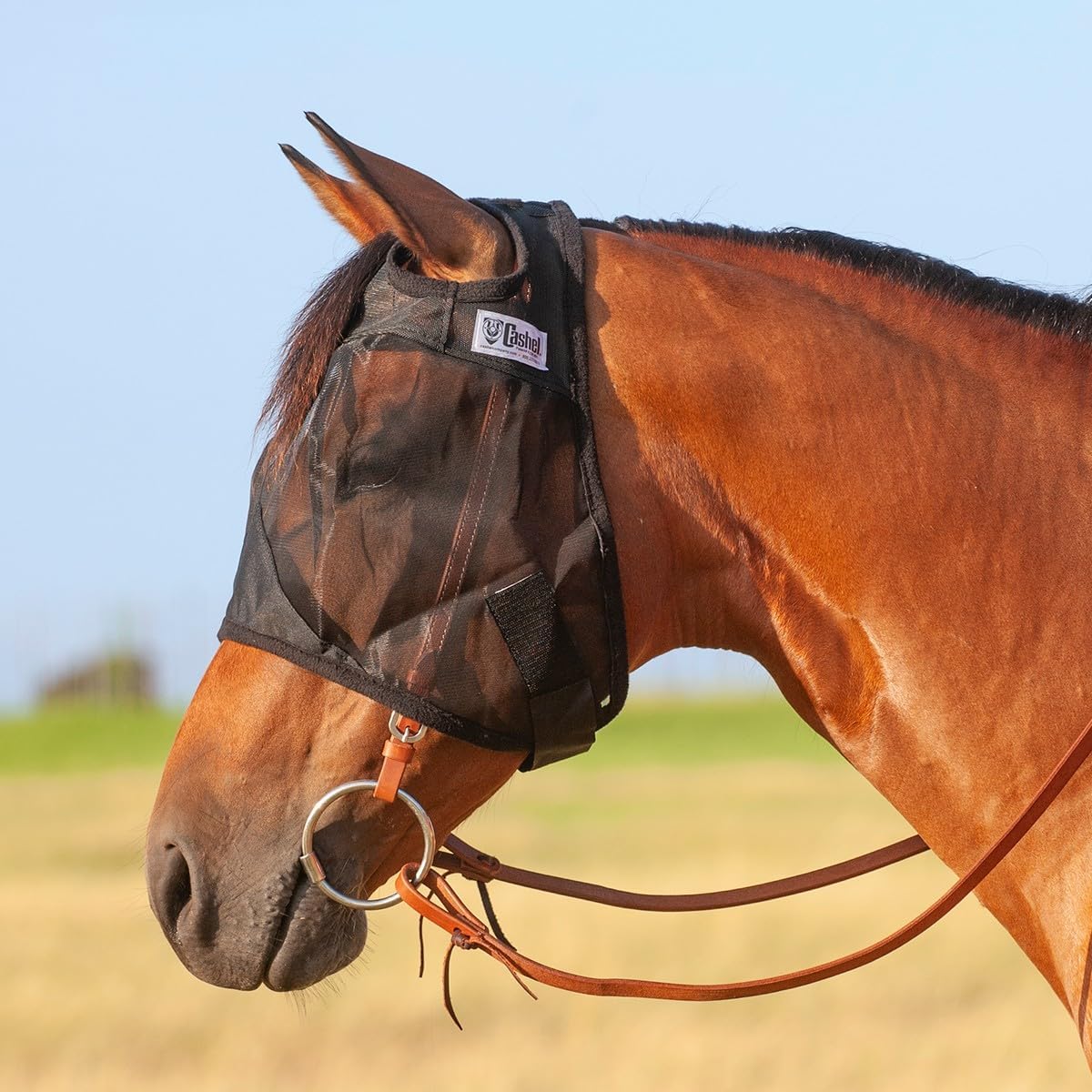 Cashel Quiet Ride Horse Fly Mask front view for trail riding