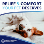Paraben free and dye free pet cleansing wipes package back instructions