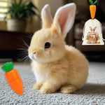 Santvolo Hopping Bunny Toy front view interactive plush