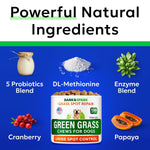 Probiotics and enzymes dog chews for urinary health