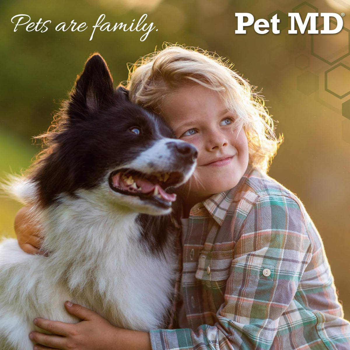 Side view of Pet MD cat and dog ear care wipes