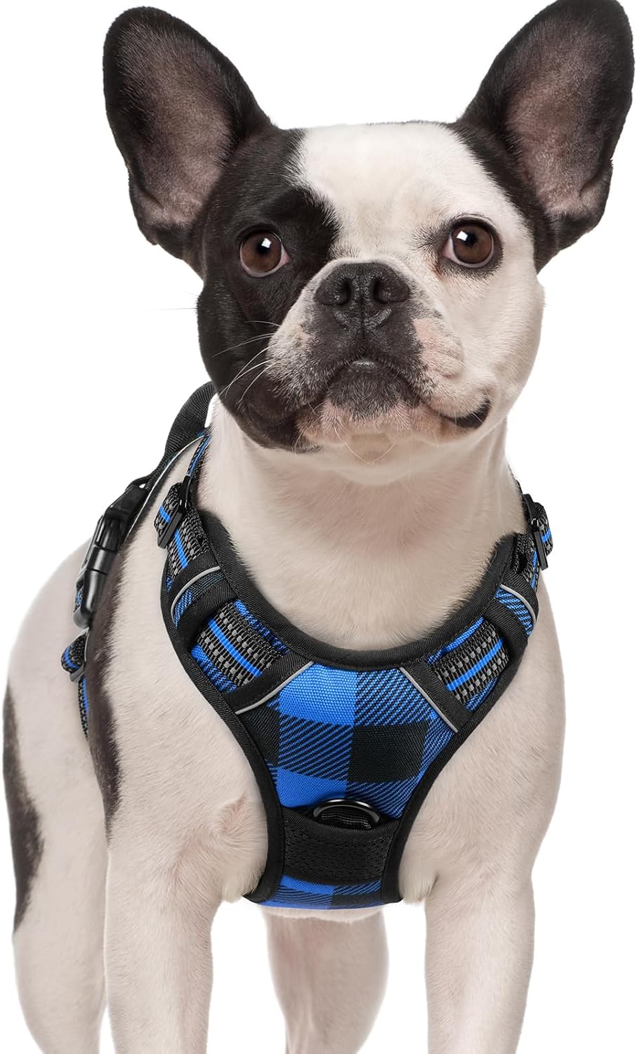 rabbitgoo Dog Harness, No Pull for Small Dogs with 2 Leash Clips, Pet Vest | No Choke with Handle, Adjustable Soft Padded, Reflective, Easy Control for Walking, Gray, Small - Image 9
