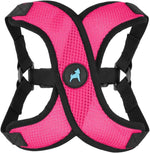 Gooby Comfort X Step in Lite Dog Harness - Choke Free, Escape Free with Light Breathable Mesh - Step in Dog Harness for Small and Medium Dogs - Quick Release Buckle, Metal D-Rings - Purple, Medium - Image 14