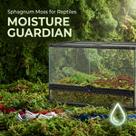 Five ounce package of imported organic terrarium moss habitat bedding displayed alongside aquarium decor