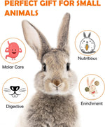 Four different flavors of Sofier small animal enrichment treats displayed together.