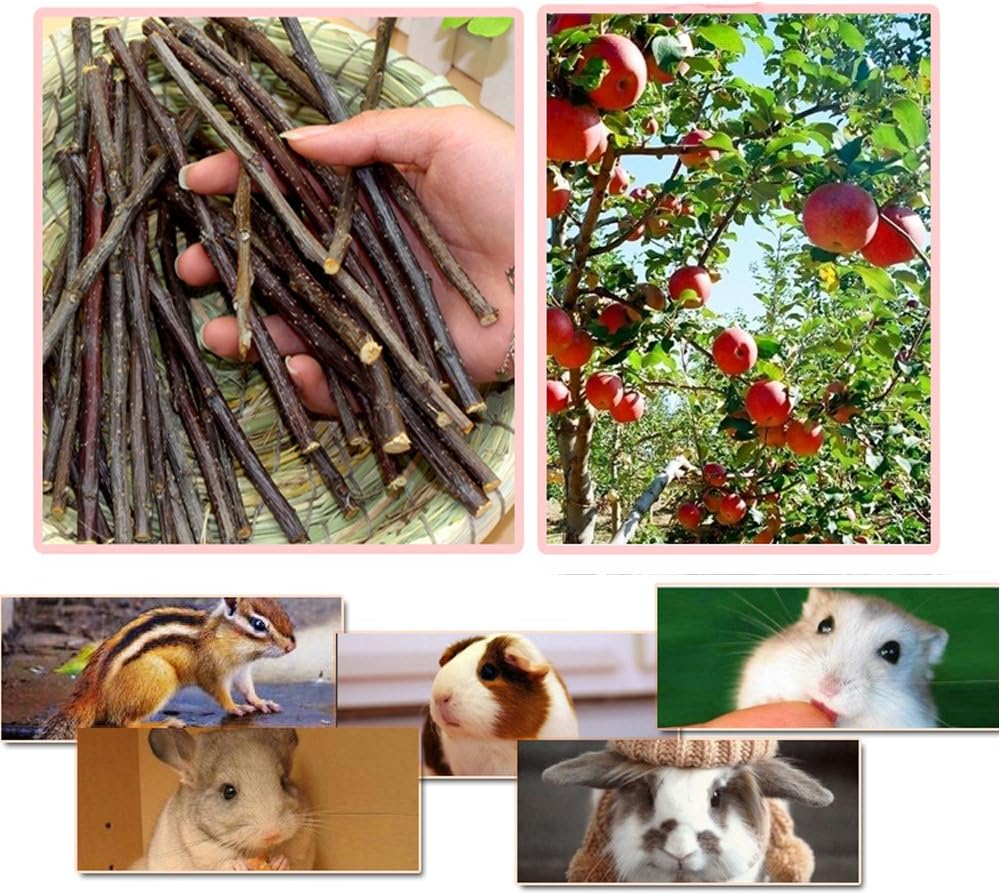Sharllen 100 grams pet snacks package contents with premium wood texture details