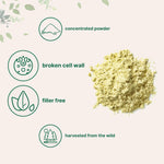 Micro Ingredients wild harvested pine pollen fine powder texture close up