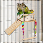 Natural pine wood parrot play stand with climbing ladder accessory.