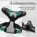 Rabbitgoo no-pull harness reflective straps illuminated