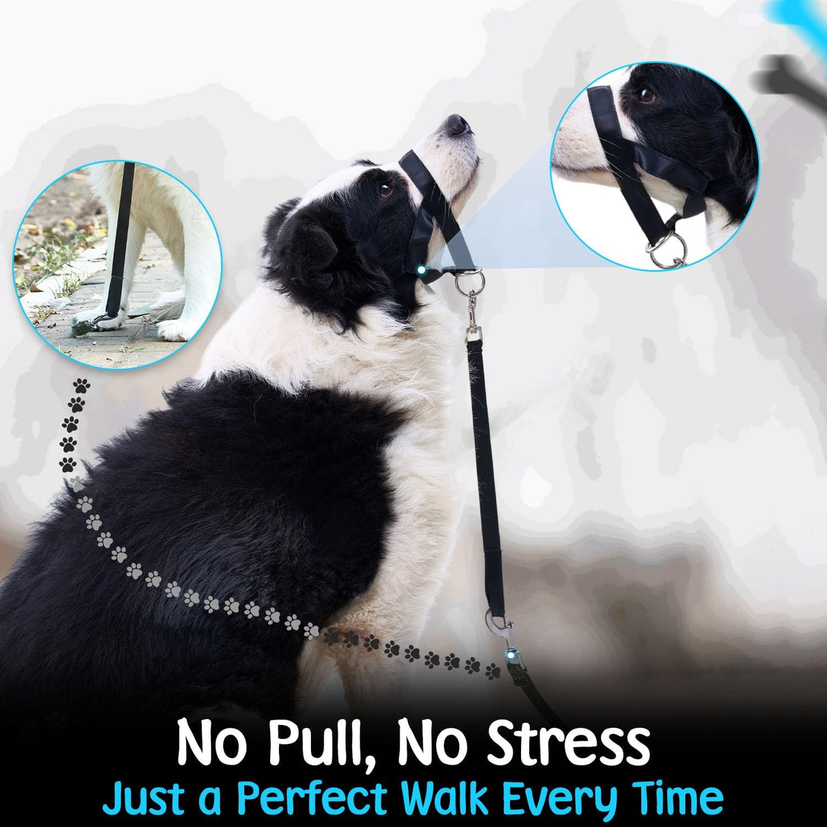 Adjustable black head halter designed for large dogs to prevent leash pulling.