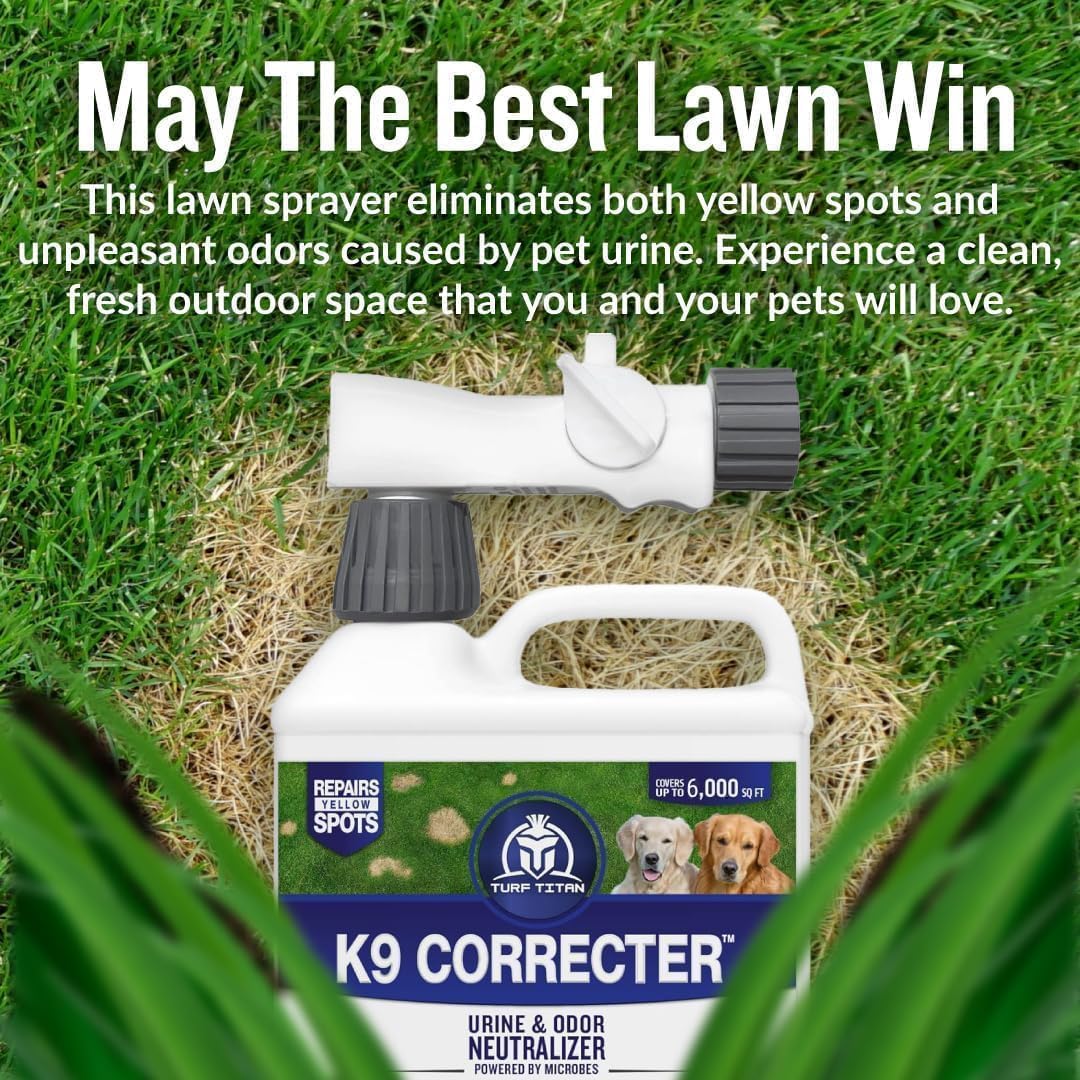 Before and after result of using Turf Titan K9 Correcter on yellow grass