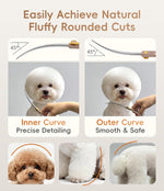 JASON extra curved pet scissors being used to shape a dog's head fur