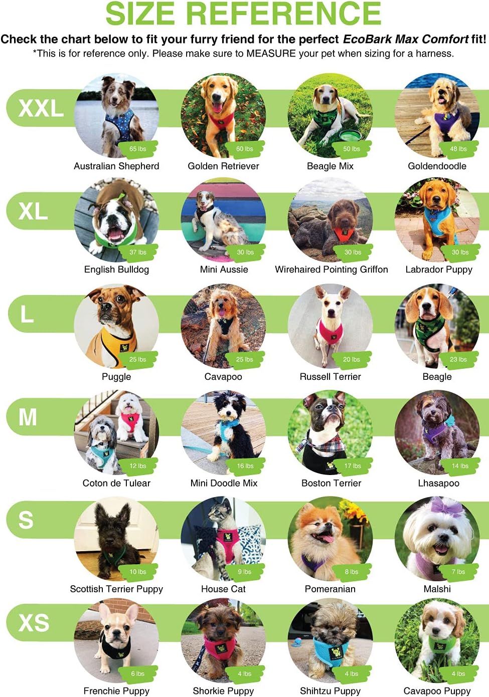 Extra large dog harness laid flat to display full body structure