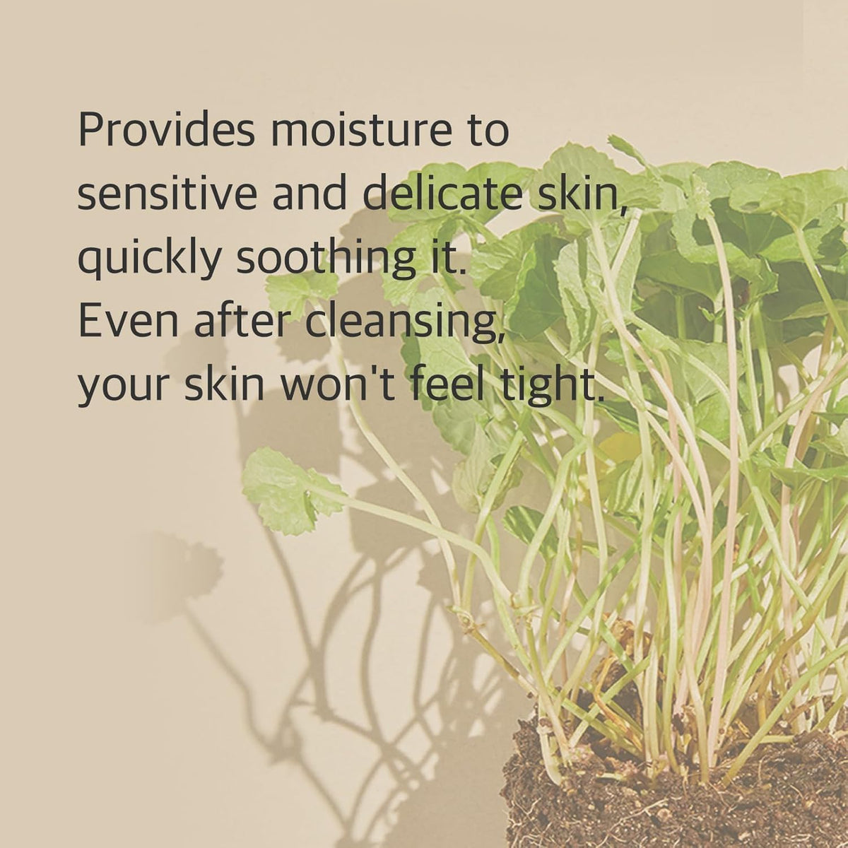 Authentic imported Mixsoon Korean face wash for sensitive and acne prone skin types.