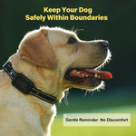 Waterproof electronic dog training collar package with charging cable and contact points.