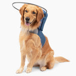 Muffin's Halo(R) - The Original Blind Dog Halo | Harness & Bumper Collar Accessory for Safe Navigation & Confidence - Black, Size 7 - Image 12
