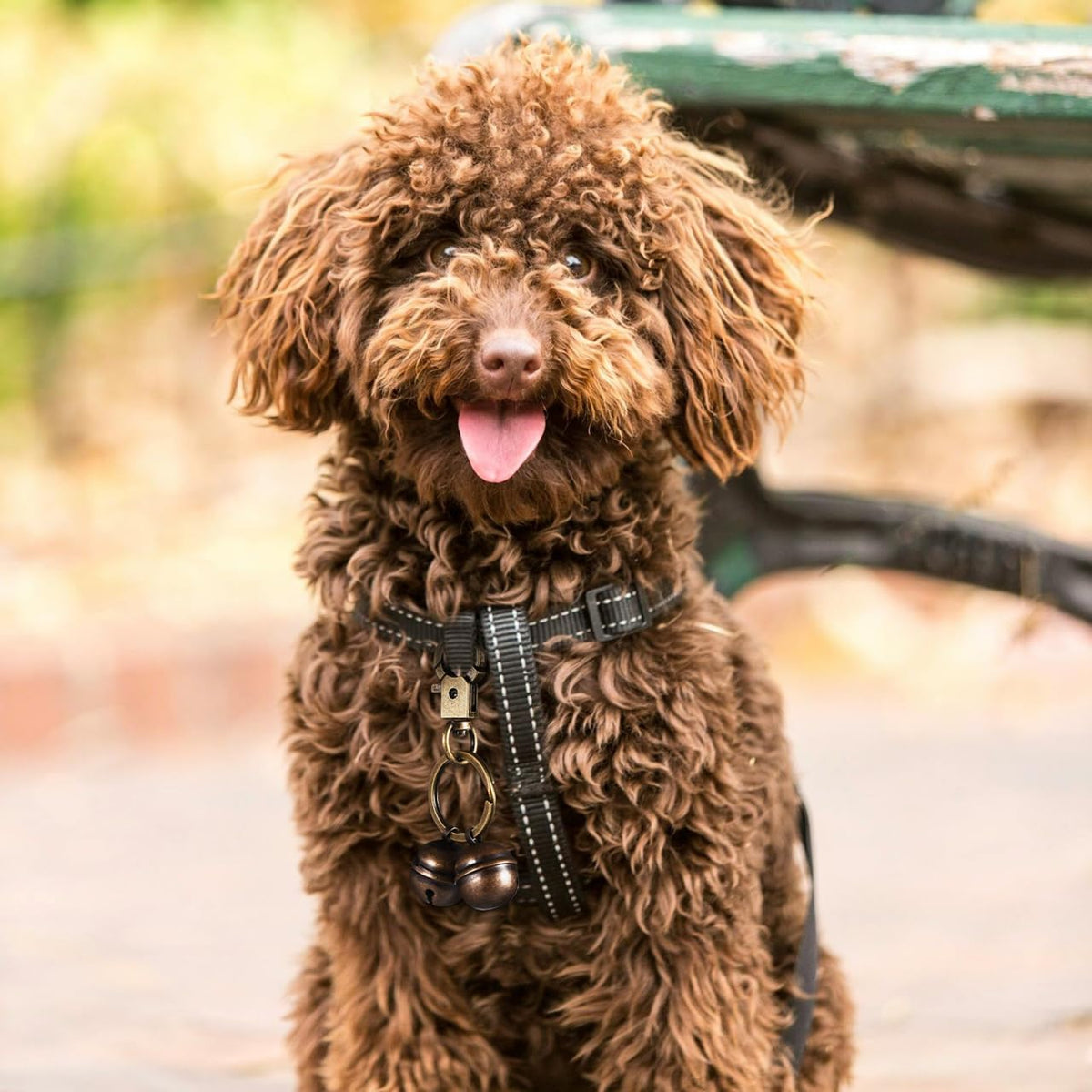 SUPVOX 3.74 inch brass bell attached to pet collar