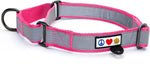 Pawtitas personalized martingale dog collar front view in pink