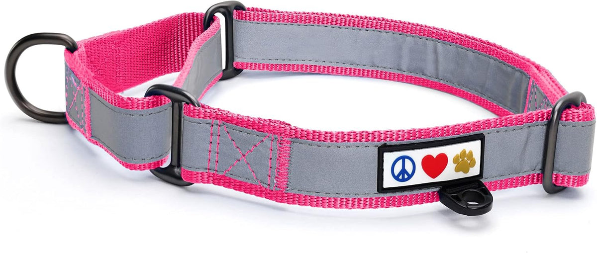 Pawtitas personalized martingale dog collar front view in pink