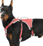 Huntboo Escape Proof Dog Harness, Escape Artist Harness, Reflective Dog Harness with Handle, Durable,Adjustable Vest for Small Medium Large Dogs Walking, Training, and Running Gear(Technicolor Blue,S) - Image 15