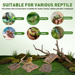 Nolitoy tortoise hideout and woodland habitat accessories