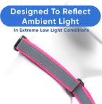 Pawtitas pink custom dog collar angled view displaying reflective safety strips