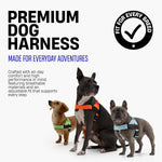 Dog Friendly Co. Dog Harness | Chafe Resistant Webbing, Adjustable Neck & Chest, and Heavy Duty D-Ring | Sturdy, Comfortable, Easy to Use | Classic Blue, Size L - Image 2
