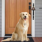 Pet communication tool for going outside