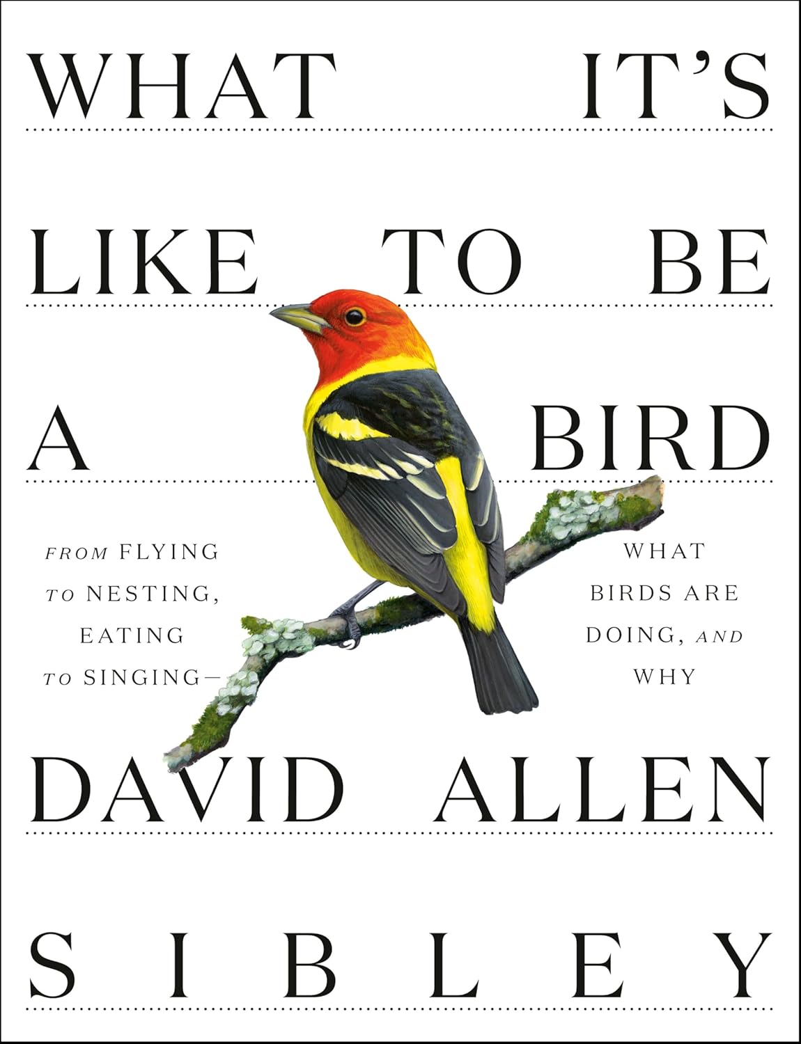 What It's Like to Be a Bird: From Flying to Nesting, Eating to Singing--What Birds Are Doing, and Why (Sibley Guides) - Image 1