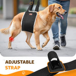 Post operative dog rehabilitation using Pick For Life black rear hindquarters lift support sling after ACL surgery