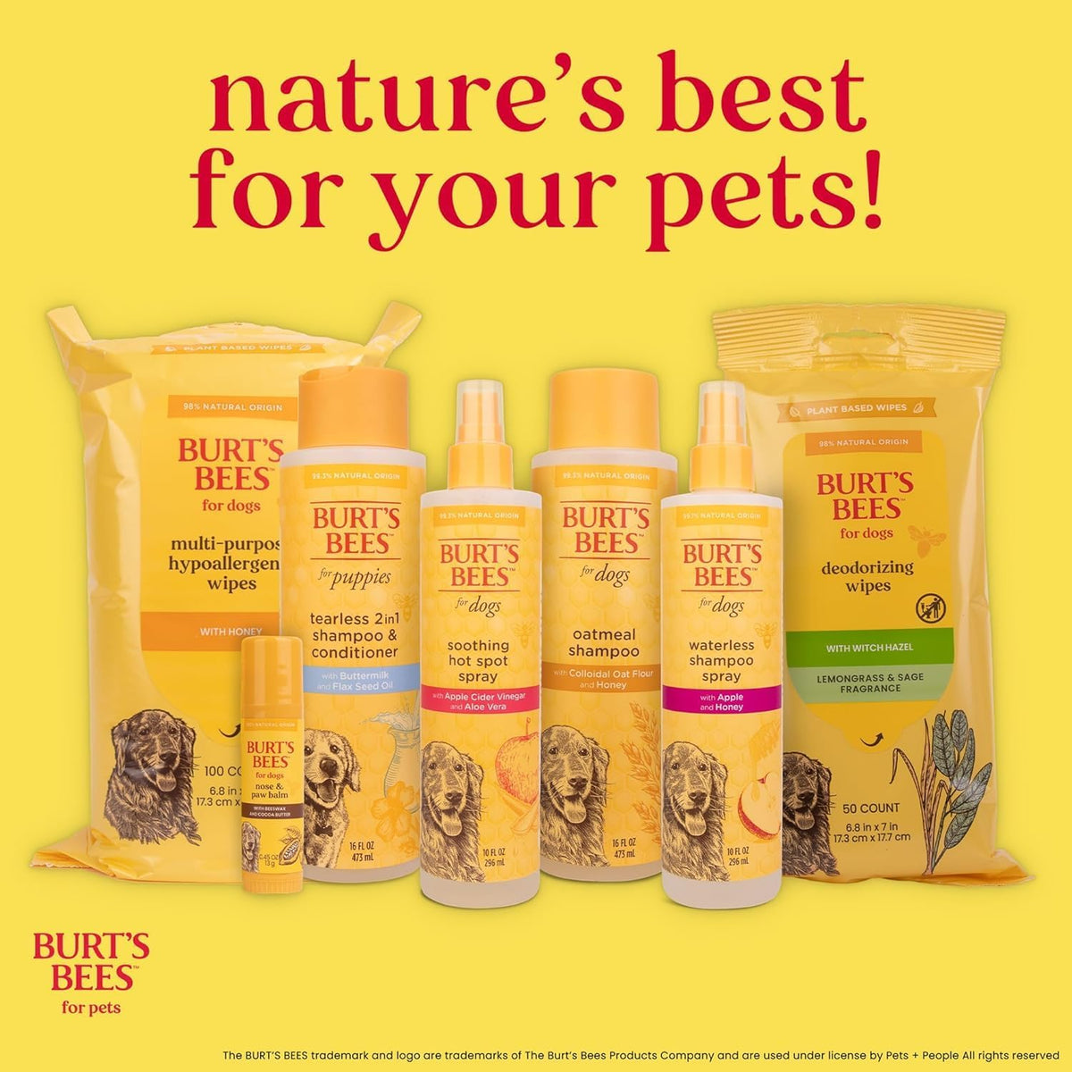 Burt's Bees honey dog wipes for daily pet hygiene